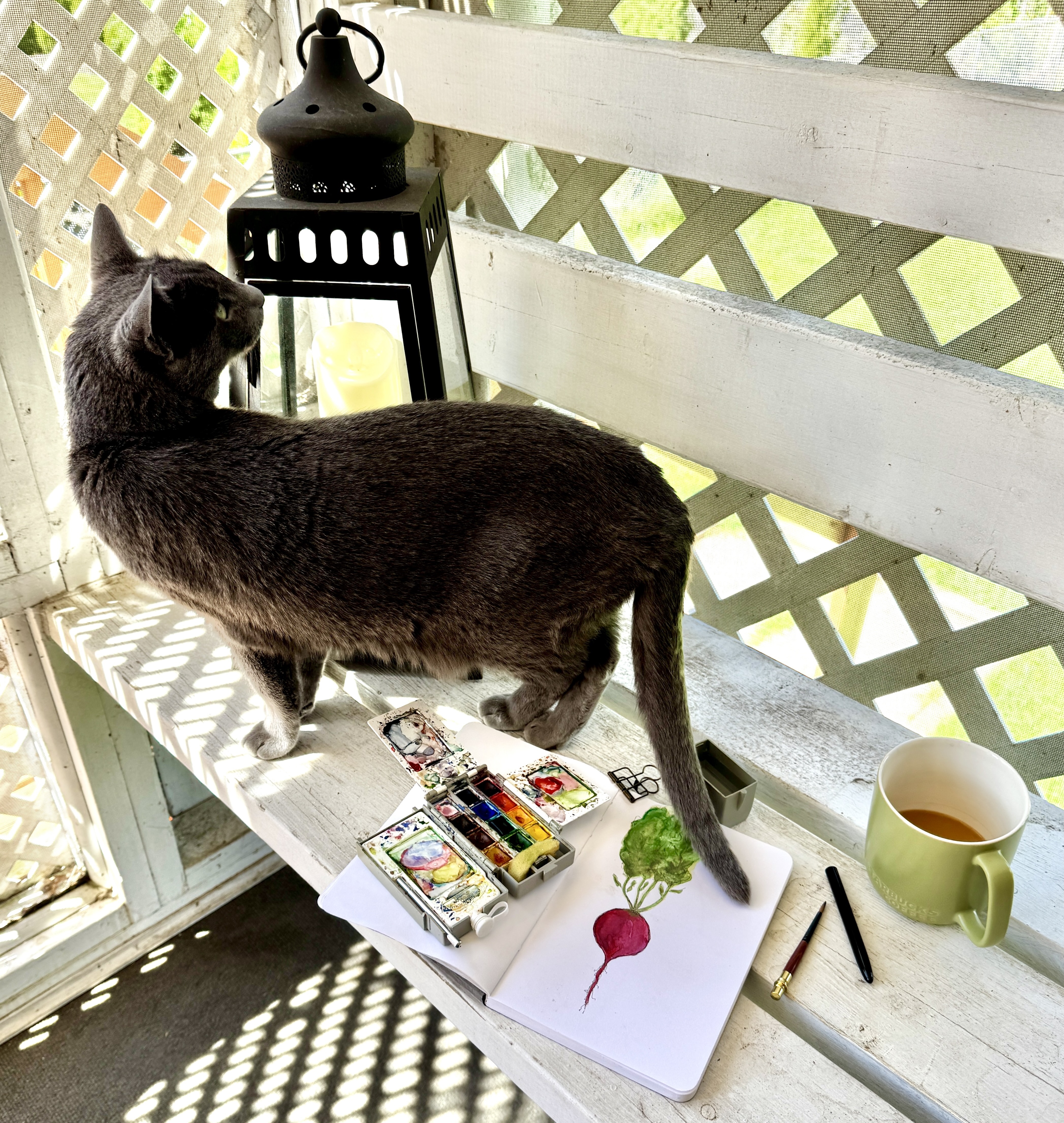 Image of a sunlit porch with paints and a painting sitting on a bench with a cup of coffee and the artist's grey cat overlooking everything